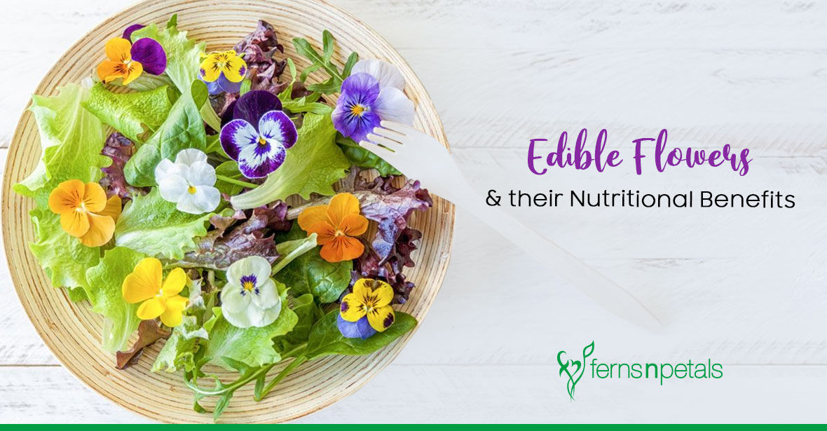 Edible Flowers & Their Nutritional Benefits